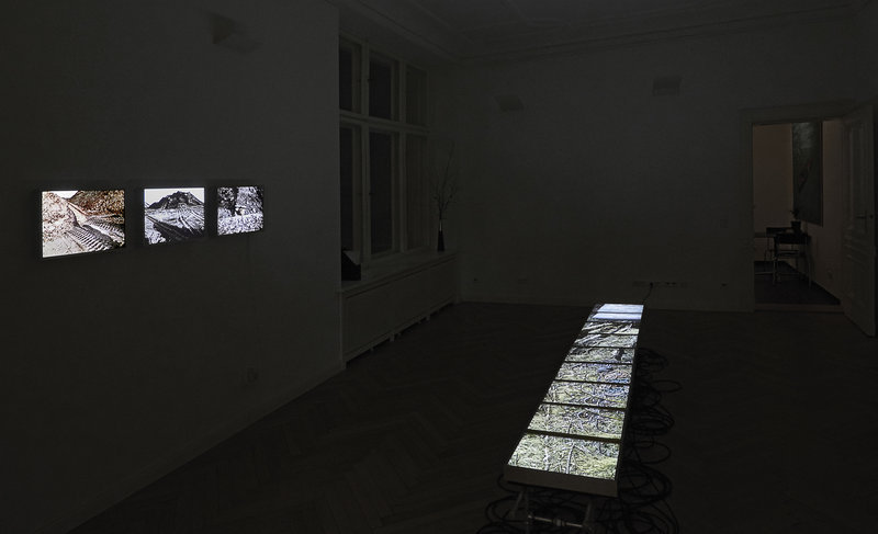 Franziska Rutishauser, exhibition view: Berlin, 2014, ©Pilz Fotodesign