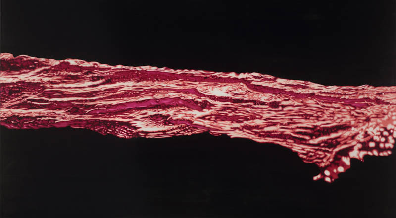 Franziska Rutishauser, peinture: Aggregation IV - Dark light matter, 2015, huile sur lin, 105x190cm