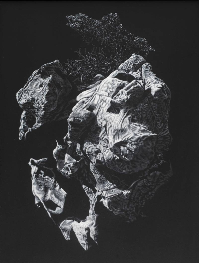 Franziska Rutishauser, Zeichnung: Anthropomorphismen-Horde, 2010, Pastellstift auf Holz, 80x60cm