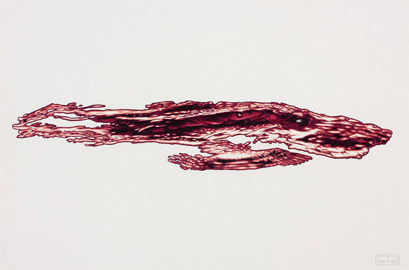 Franziska Rutishauser, Zeichnung: Aggregation 4, 2015, Farbstift, 40x60cm