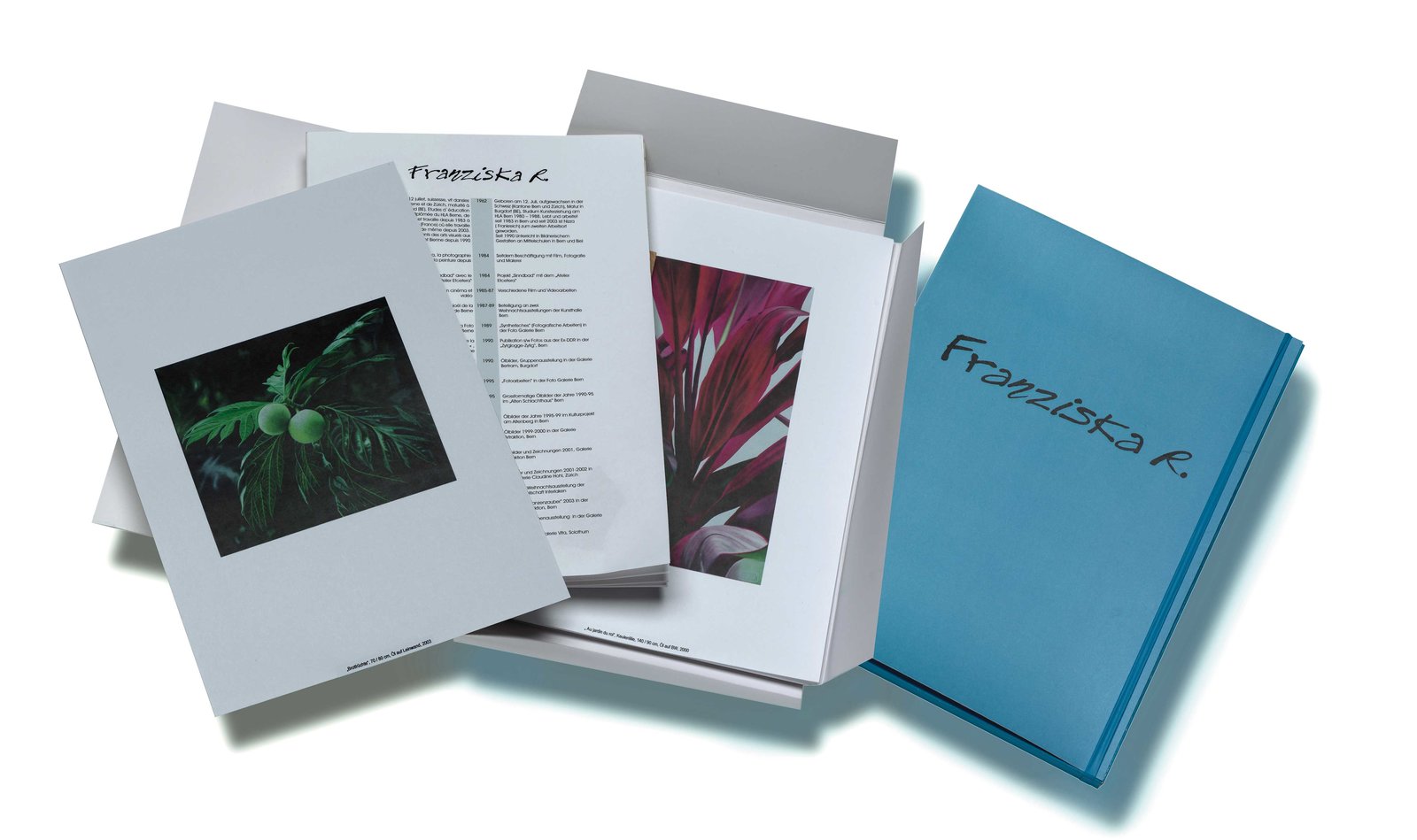 Franziska Rutishauser, publications: Cahier artistique (Kunstmappe) avec 20 reproductions individ. en couleurs ainsi qu`une brochure, allm./fr., Staempfli Verlag Bern, 2005
