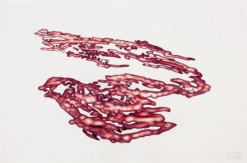 Franziska Rutishauser, painting: Aggregation 3, 2015, coloured pencil, 40x60cm