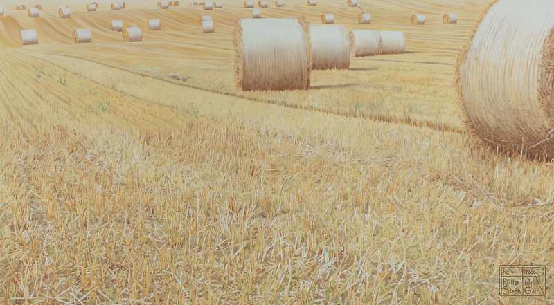Franziska Rutishauser, peinture: Paille et Or No.4, 2006, huile sur lin, 105x190cm