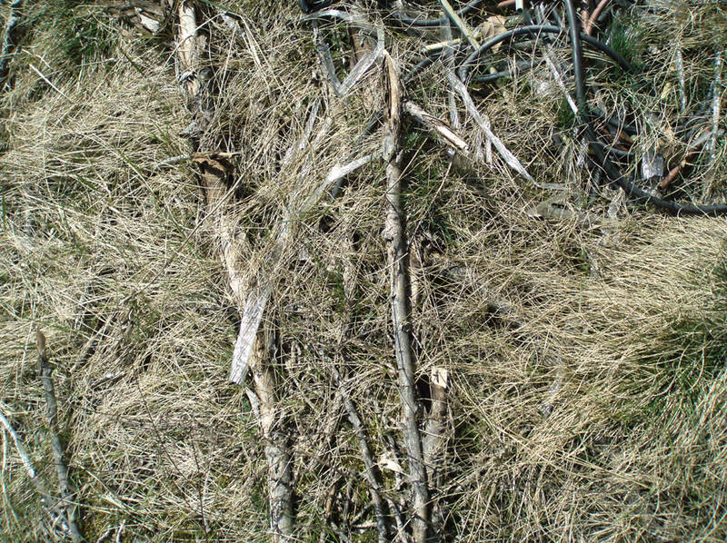 Franziska Rutishauser, Fotografie: Ueber-Lauf, no. P2290023, 2014, Leuchtkasten, 34x45cm