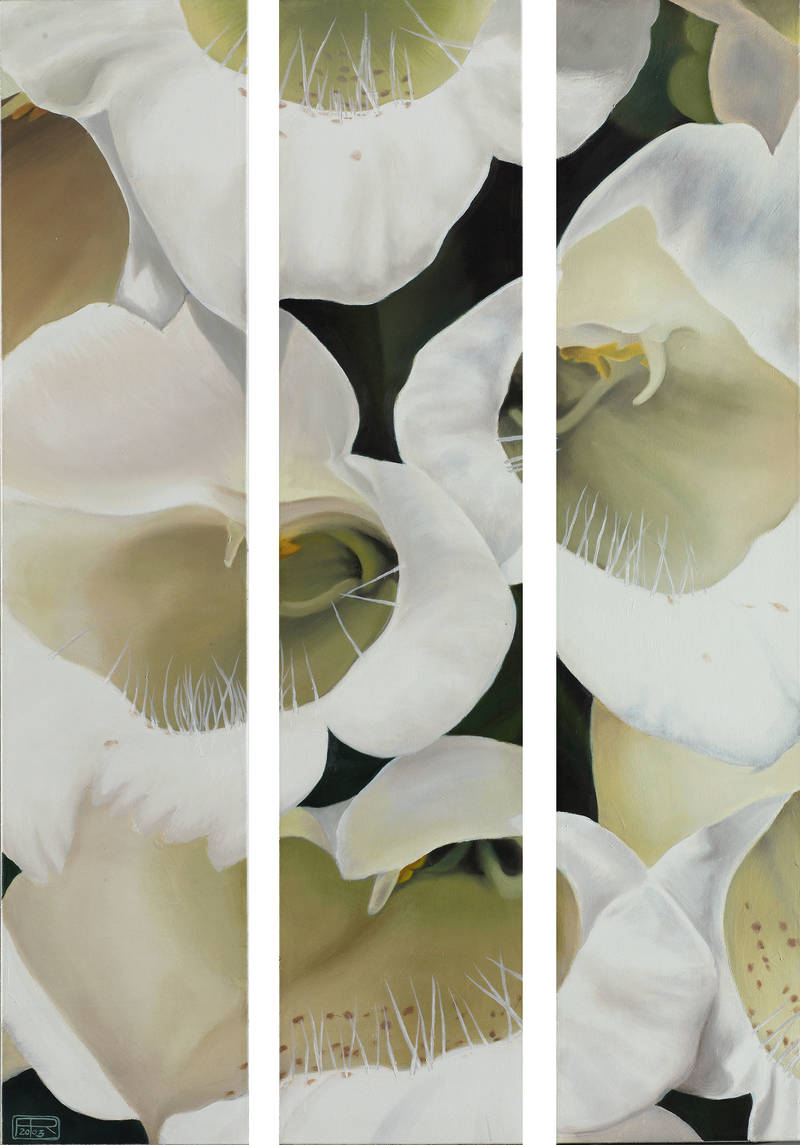 Franziska Rutishauser, painting: Weisser Fingerhut (White Digitalis), 3-parts, 2003, oil on cotton, 115x80cm