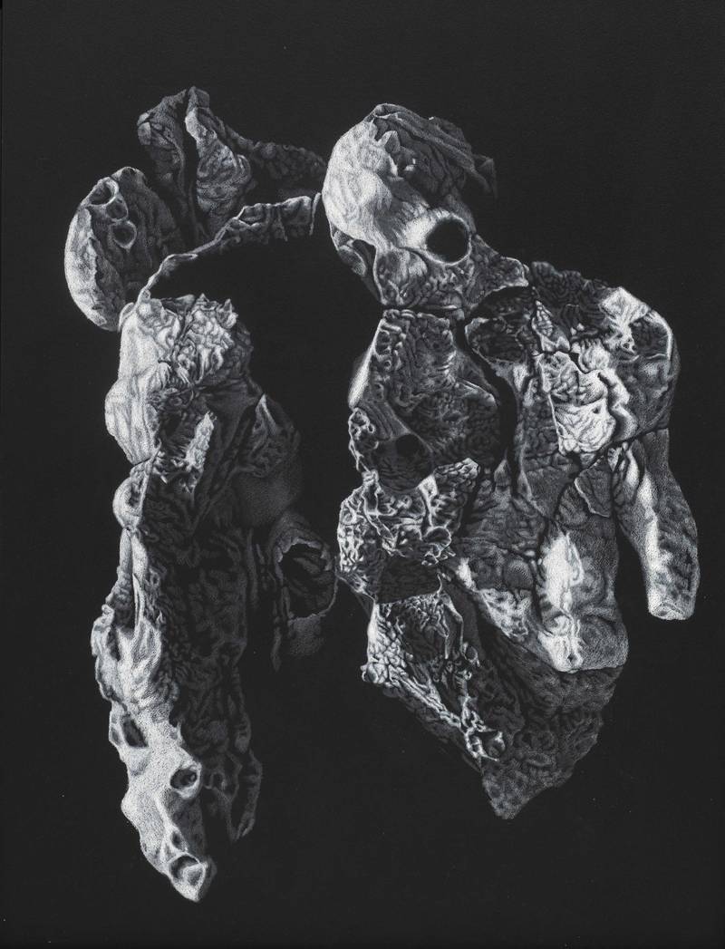 Franziska Rutishauser, Zeichnung: Anthropomorphismen-Torso, 2010, Pastellstift auf Holz, 80x60cm