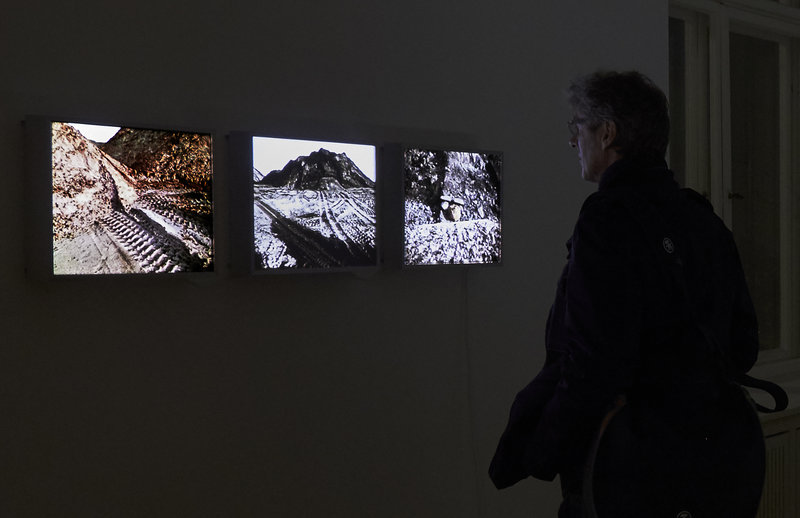 Franziska Rutishauser, vue d`exposition: Berlin, 2014, ©Pilz Fotodesign