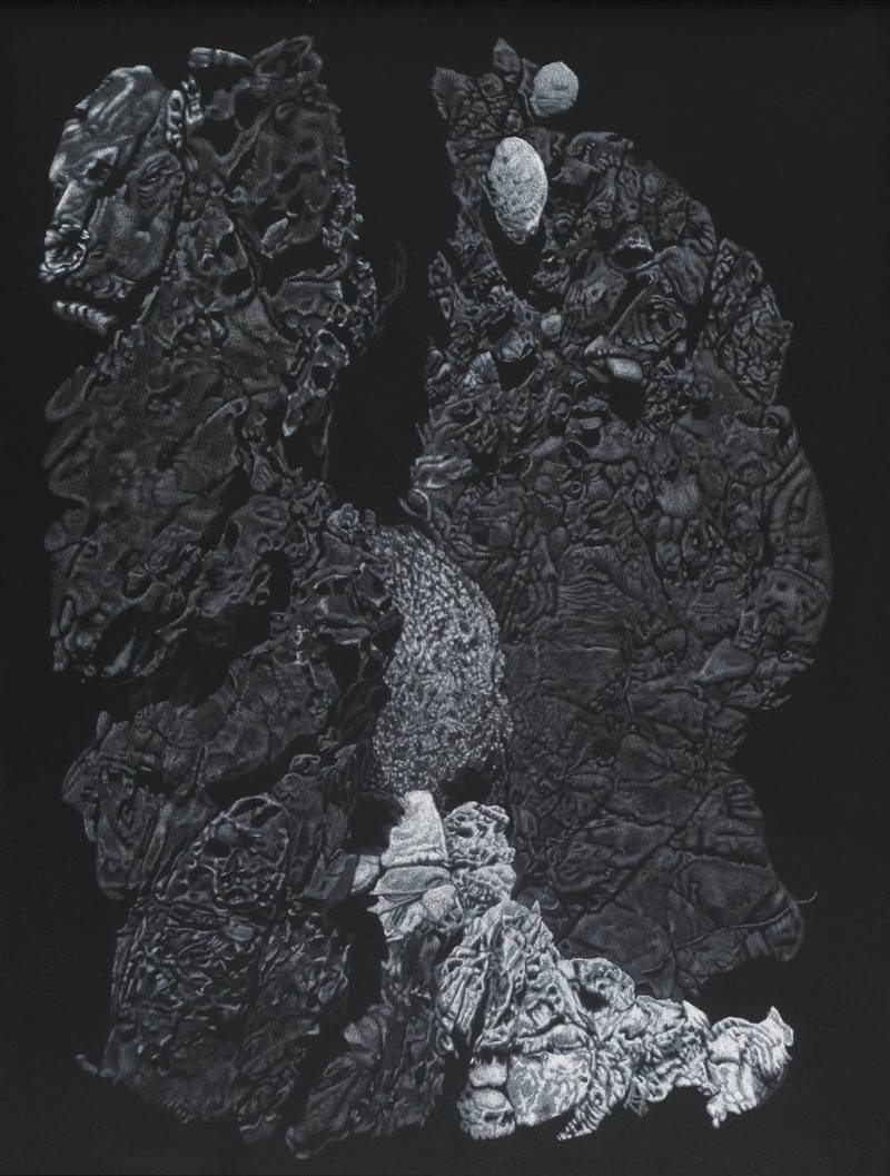 Franziska Rutishauser, Zeichnung: Anthropomorphismen-Phantom, 2009, Pastellstift auf Holz, 80x60cm
