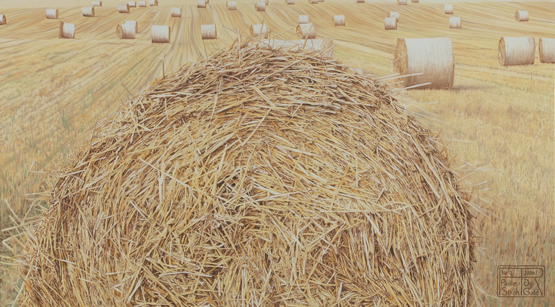 Franziska Rutishauser, painting: Straw & Gold No 3, 2006, oil on canvas, 105x190cm