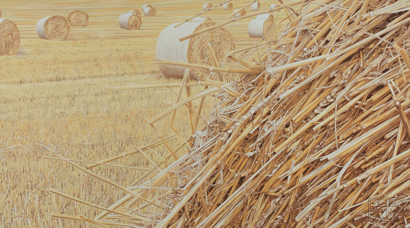 Franziska Rutishauser, peinture: Paille et Or (Stroh & Gold) No.5, 2006, huile sur lin, 105x190cm